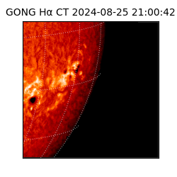 gong - 2024-08-25T21:00:42