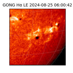 gong - 2024-08-25T06:00:42