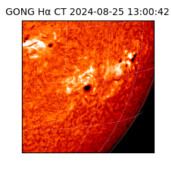 gong - 2024-08-25T13:00:42