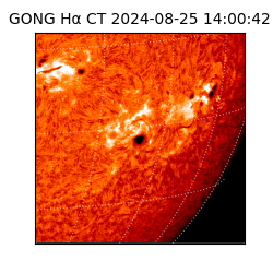 gong - 2024-08-25T14:00:42