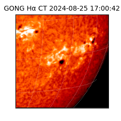 gong - 2024-08-25T17:00:42