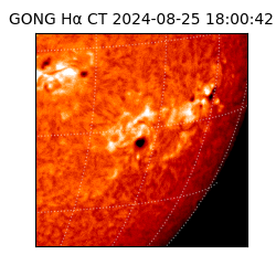 gong - 2024-08-25T18:00:42