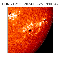 gong - 2024-08-25T19:00:42