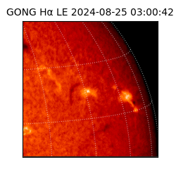 gong - 2024-08-25T03:00:42