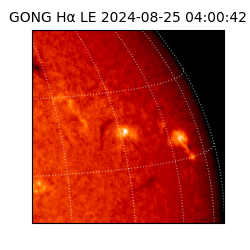 gong - 2024-08-25T04:00:42