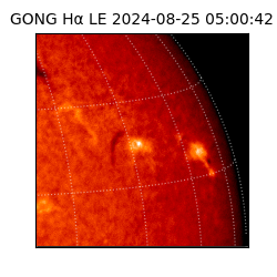 gong - 2024-08-25T05:00:42