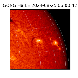 gong - 2024-08-25T06:00:42