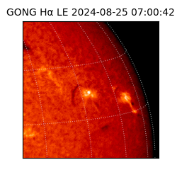 gong - 2024-08-25T07:00:42
