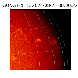 gong - 2024-08-25T08:00:22