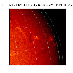 gong - 2024-08-25T09:00:22