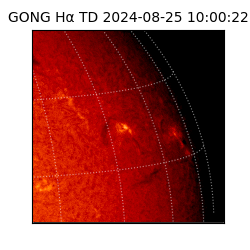 gong - 2024-08-25T10:00:22