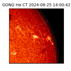 gong - 2024-08-25T14:00:42