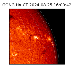 gong - 2024-08-25T16:00:42