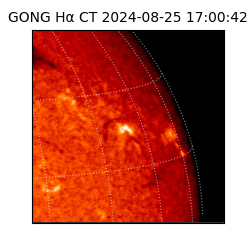 gong - 2024-08-25T17:00:42