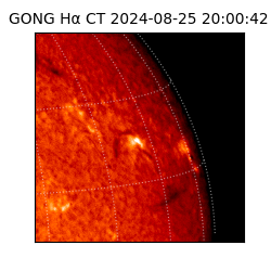 gong - 2024-08-25T20:00:42