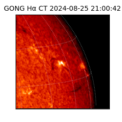 gong - 2024-08-25T21:00:42