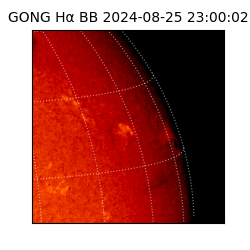 gong - 2024-08-25T23:00:02