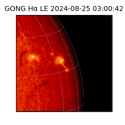 gong - 2024-08-25T03:00:42