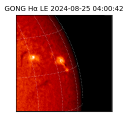 gong - 2024-08-25T04:00:42