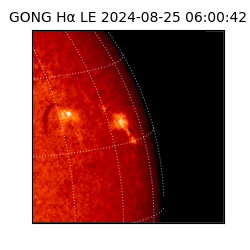 gong - 2024-08-25T06:00:42