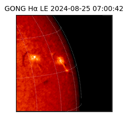gong - 2024-08-25T07:00:42