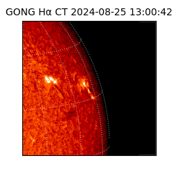 gong - 2024-08-25T13:00:42