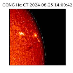 gong - 2024-08-25T14:00:42