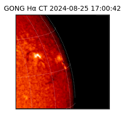 gong - 2024-08-25T17:00:42