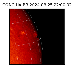 gong - 2024-08-25T22:00:02