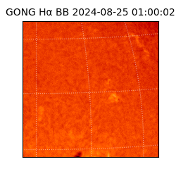 gong - 2024-08-25T01:00:02