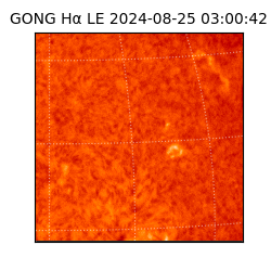 gong - 2024-08-25T03:00:42