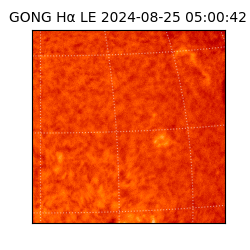 gong - 2024-08-25T05:00:42