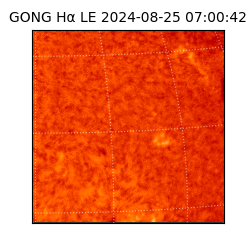 gong - 2024-08-25T07:00:42