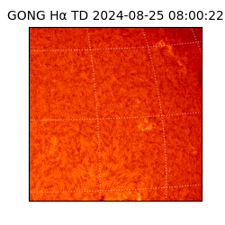 gong - 2024-08-25T08:00:22