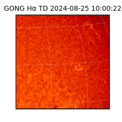 gong - 2024-08-25T10:00:22