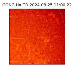 gong - 2024-08-25T11:00:22