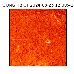 gong - 2024-08-25T12:00:42