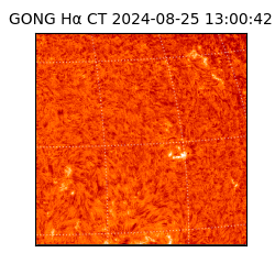 gong - 2024-08-25T13:00:42