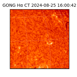 gong - 2024-08-25T16:00:42