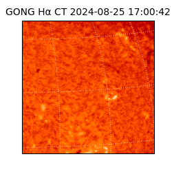 gong - 2024-08-25T17:00:42