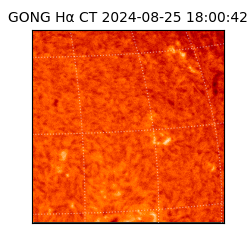 gong - 2024-08-25T18:00:42