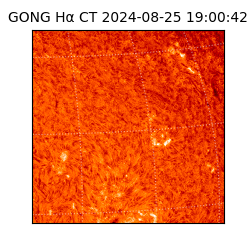 gong - 2024-08-25T19:00:42