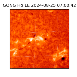 gong - 2024-08-25T07:00:42