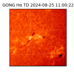 gong - 2024-08-25T11:00:22