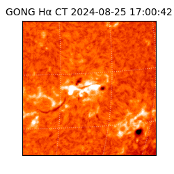 gong - 2024-08-25T17:00:42