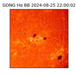 gong - 2024-08-25T22:00:02