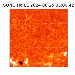 gong - 2024-08-25T03:00:42