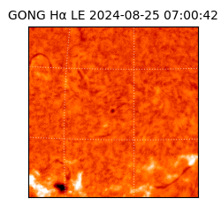 gong - 2024-08-25T07:00:42