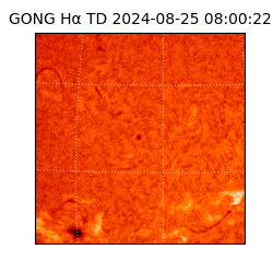 gong - 2024-08-25T08:00:22