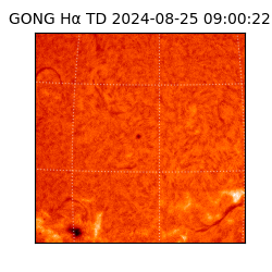 gong - 2024-08-25T09:00:22